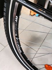 Πόλης Amigo 2021 Style 28" City Bike Unisex-thumb-18