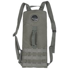 Υδροασκός folliage grey USA