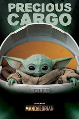 Star Wars: The Mandalorian (Precious Cargo) (No.1 - PP34610) 61x91.5cm