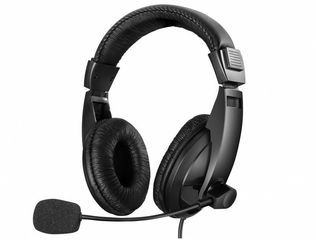 Sandberg Plug n Talk Headset Black (325-27)