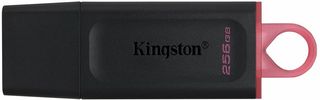 KINGSTON USB 3.2 FLASH 256GB - (DTX/256GB)