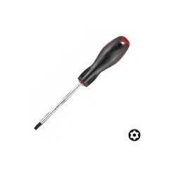 Κατσαβίδι Torx με τρύπα T25x100 170025 Schroder