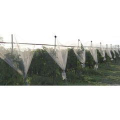 ΔΙΧΤΥ ΑΝΤΙΧΑΛΑΖΙΚΟ Λευκο 65gr/m2 3Χ100m-thumb-3