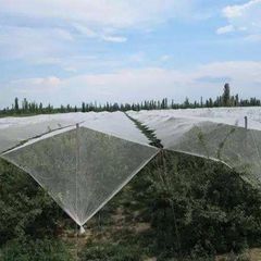 ΔΙΧΤΥ ΑΝΤΙΧΑΛΑΖΙΚΟ Λευκο 65gr/m2 3Χ100m-thumb-4