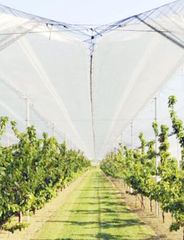 ΔΙΧΤΥ ΑΝΤΙΧΑΛΑΖΙΚΟ Λευκο 65gr/m2 3Χ100m-thumb-1