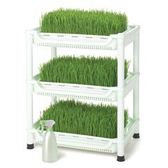 Tribest Sproutman Wheatgrass Grower, SM-350