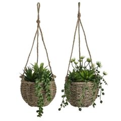 Inart 3-85-475-0251 ΦΥΤΟ ΣΕ ΓΛΑΣΤΡΑΚΙ 2 ΣΧΕΔΙΑ Φ12Χ18  12x12x18 inart