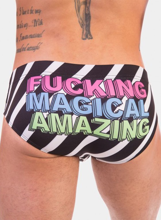 Fma Swim Brief