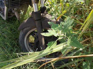 Honda VT 250 1984 VT250 F -11  MC08+ΑΝΤΑΛΑΚΤΙΚΑ-thumb-22