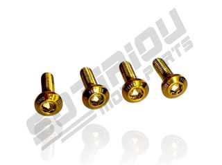 ΒΙΔΕΣ ΔΙΣΚΟΠΛΑΚΑΣ YAMAHA CRYPTON X 135/105/110/115/Z125 ΧΡΥΣΕΣ