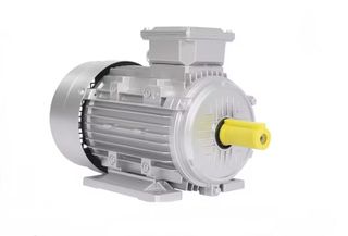 Ο ηλεκτροκινητήρας HMS 112M-2 380V 2.800 rpm IE3 – Premium Efficiency 5,5hp αποτελεί αξιόπιστη λύση για επαγγελματικές και βιομηχανικές εφαρμογές-thumb-4