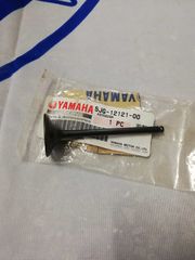 ΒΑΛΒΙΔΑ ΕΞΑΓΩΓΗΣ YAMAHA WR400/426F  YZ426F   2001-2002'             5JG-12121-00-00