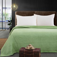 Κουβέρτα μονόχρωμη μονή Fleece Art 11552 διαστάσεων 160x220cm σε πράσινο