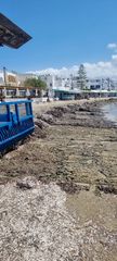 Κλαδοσυλλέκτες 2021-thumb-9