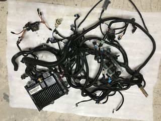 CHEVROLET V6 VORTEC ECU - HARNESS- SPIDER