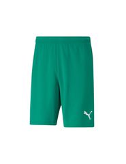 Puma Teamrise 704942-05 Ανδρικό Σορτς Εμφάνισης Ποδοσφαίρου
