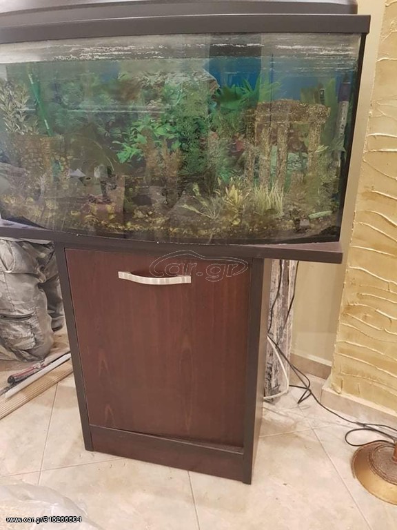 Ενυδρείο ευκαιρία
