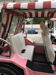 Buggy Motors 2023 BuggyCar (450kg 100% Aluminum)-thumb-2