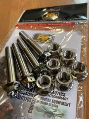 PRO-BOLT TITANIUM CALIPER BOLTS