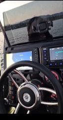 Range Rib 2027 SF16 ( 5 μέτρα)-thumb-28