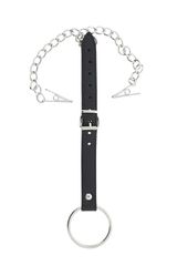 BLAZE NIPPLE CLAMPS & PENIS RING