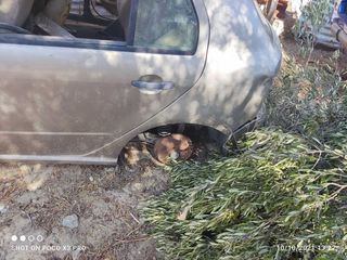 απο skoda fabia 2004 kantran timoni kremariera mpagkaz ajonas pisv eggefalo akra   ασφαλιοθηκη 