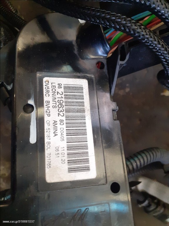 Πλεξούδα κινητήρα peugeot  citroen blue hdi