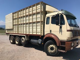 Ανατροπή Mercedes-Benz 1995 2538 / 3338-thumb-1