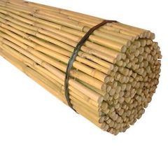 Καλάμια Bamboo Στήριξης φυτών Bamboo Πάχους 14-16 mm Ύψος 180 cm 200 τεμάχια