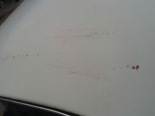 Volkswagen Beetle 1974-thumb-44
