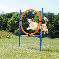 Κρίκος για Σκύλους Trixie Agility, Διαστάσεων:115x65 cm  Μπλε/Πορτοκαλί