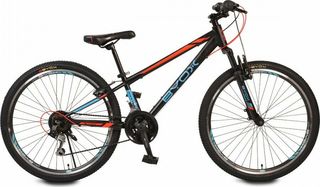All - Mountain Byox 2021 MASTER 26''-thumb-1