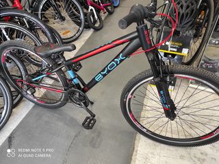 All - Mountain Byox 2021 MASTER 26''-thumb-2