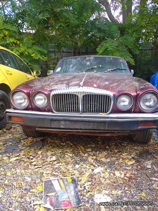 Jaguar XJ6  '85