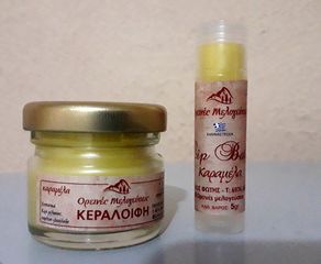 Γύρη μελισσών-thumb-3