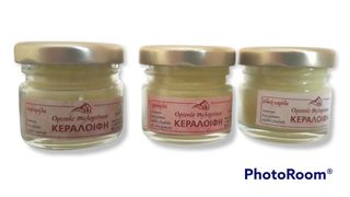 Γύρη μελισσών-thumb-11