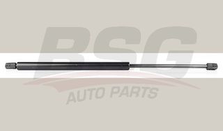 Αμορτ. αερίου, χώρος αποσκ./φόρτωσης BSG BSG40980006