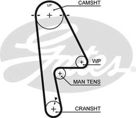 Οδοντωτός ιμάντας GATES 859715529