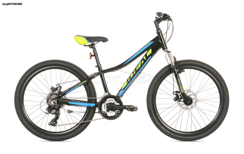 All - Mountain Ideal 2021 strobe disc 24"