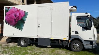 Ψυγείο DAF 2009 45-160 Euro 5-thumb-4