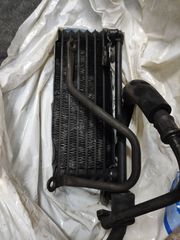 Suzuki DR 800 S '91-thumb-14