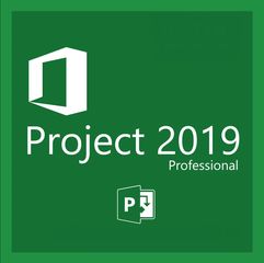 Microsoft Project 2019 Professional