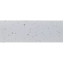 ΤΑΙΝΙΑ ΤΙΜΟΝΙΟΥ VELO CORK ΛΕΥΚΗ 410272