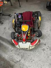 Gokart cycle-kart '15 Καρτ Rotax  DR 125cc Junior