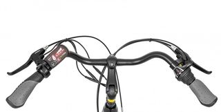 Ηλεκτρικά Ποδήλατα EcoBike 2022 TRAFFIC 26-thumb-6