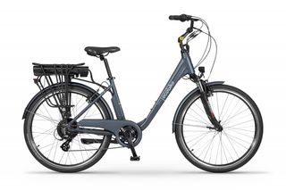Ηλεκτρικά Ποδήλατα EcoBike 2022 TRAFFIC 26-thumb-14