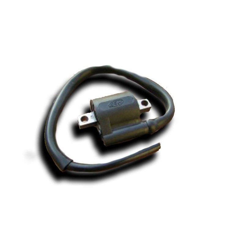 Ignitech Ignition coil IC-CDI-S