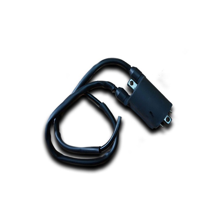Ignitech Ignition coil IC-TCI-D3