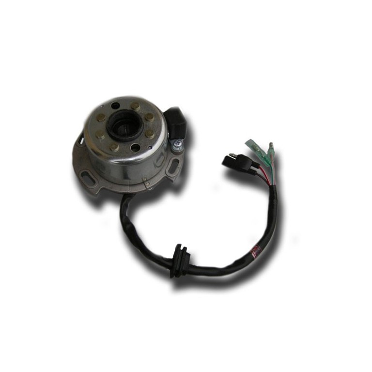 Ignitech Complet magneto LFS diameter 75 mm