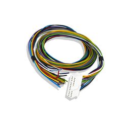 Ignitech Basic harness for TCIP4 and DCCDIP4